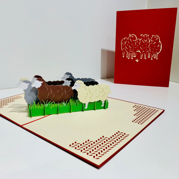 Flock of Sheep with Red Cover Origami Pop Cards 3D Pop Up Greeting Card Happy Birthday Thank You Handmade Gift Thinking of You Blank Card for Any Occasion Happy Mother's Day Happy Father's Australiana Celebrate the Beauty