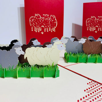 Flock of Sheep with Red Cover Origami Pop Cards 3D Pop Up Greeting Card Happy Birthday Thank You Handmade Gift Thinking of You Blank Card for Any Occasion Happy Mother's Day Happy Father's Australiana Celebrate the Beauty