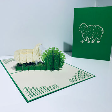A Single Sheep with Green Cover Origami Pop Cards 3D Pop Up Greeting Card Happy Birthday Thank You Handmade Gift Thinking of You Blank Card for Any Occasion Happy Mother's Day Happy Father's Australiana Celebrate the Beauty
