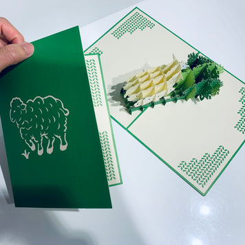 A Single Sheep with Green Cover Origami Pop Cards 3D Pop Up Greeting Card Happy Birthday Thank You Handmade Gift Thinking of You Blank Card for Any Occasion Happy Mother's Day Happy Father's Australiana Celebrate the Beauty