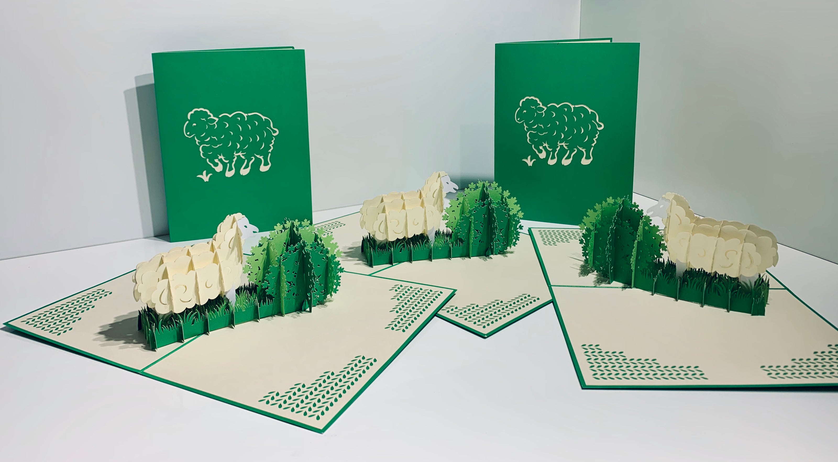 A Single Sheep with Green Cover Origami Pop Cards 3D Pop Up Greeting Card Happy Birthday Thank You Handmade Gift Thinking of You Blank Card for Any Occasion Happy Mother's Day Happy Father's Australiana Celebrate the Beauty