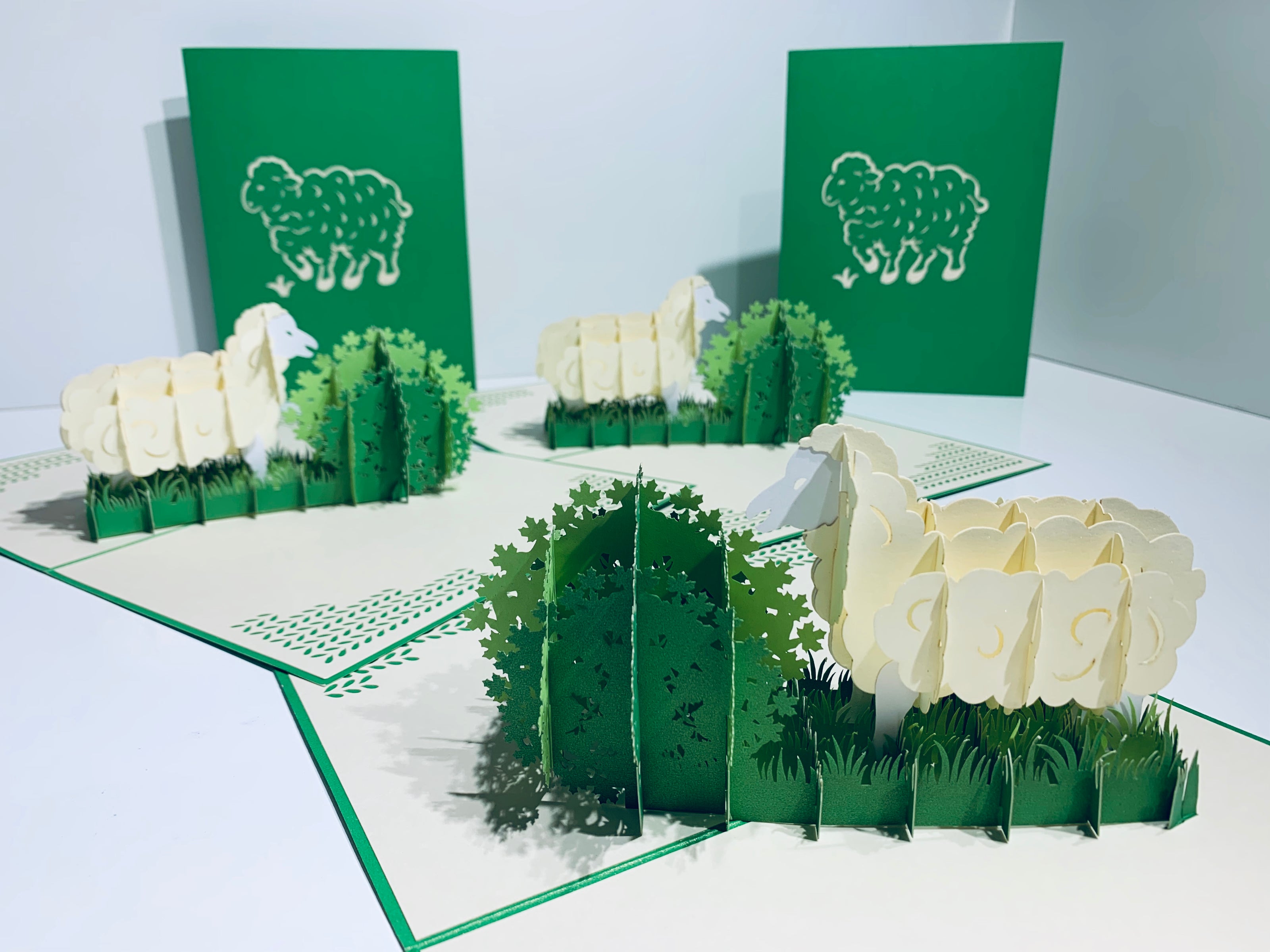 A Single Sheep with Green Cover Origami Pop Cards 3D Pop Up Greeting Card Happy Birthday Thank You Handmade Gift Thinking of You Blank Card for Any Occasion Happy Mother's Day Happy Father's Australiana Celebrate the Beauty