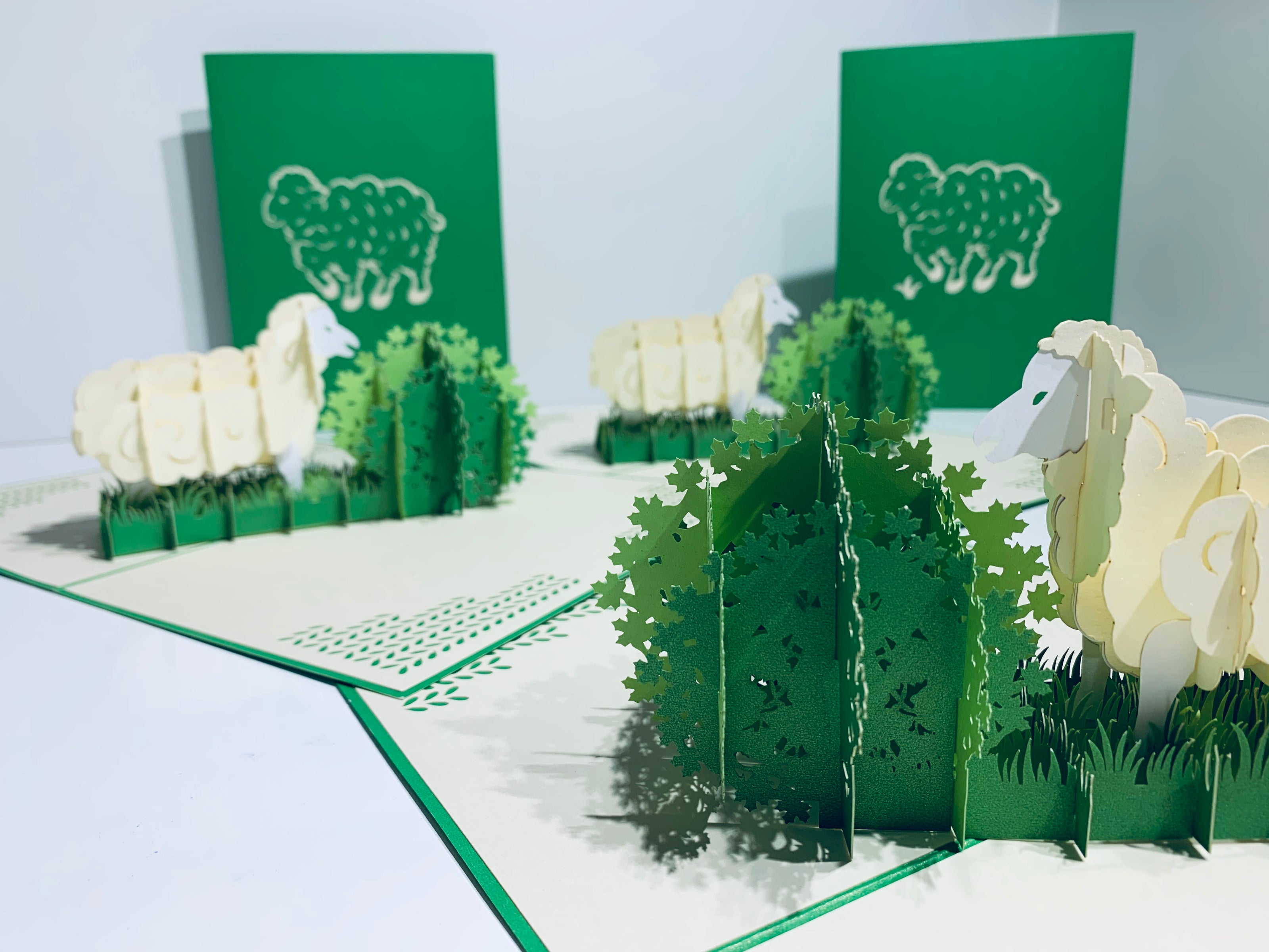 A Single Sheep with Green Cover Origami Pop Cards 3D Pop Up Greeting Card Happy Birthday Thank You Handmade Gift Thinking of You Blank Card for Any Occasion Happy Mother's Day Happy Father's Australiana Celebrate the Beauty