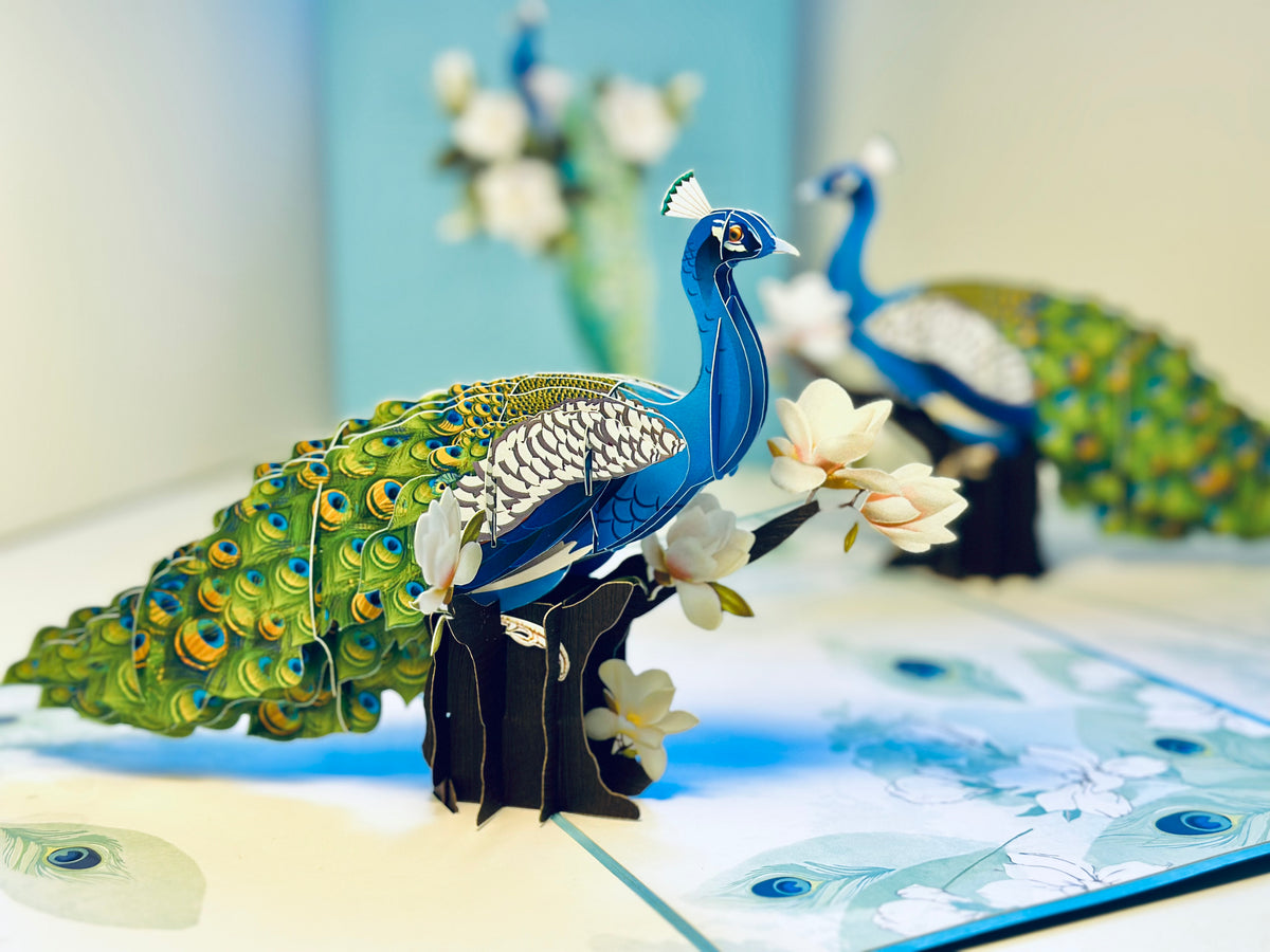 Asian Oriental Blue Green Peacock with White Magnolia Flowers Origami Pop Cards 3D Pop Up Greeting Card Happy Birthday Thank You Handmade Best Wishes Blank Card for Any Occasion Happy Mother's Day Happy Father's Day Celebrate the Beauty Of Nature