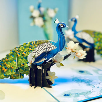 Asian Oriental Blue Green Peacock with White Magnolia Flowers Origami Pop Cards 3D Pop Up Greeting Card Happy Birthday Thank You Handmade Best Wishes Blank Card for Any Occasion Happy Mother's Day Happy Father's Day Celebrate the Beauty Of Nature