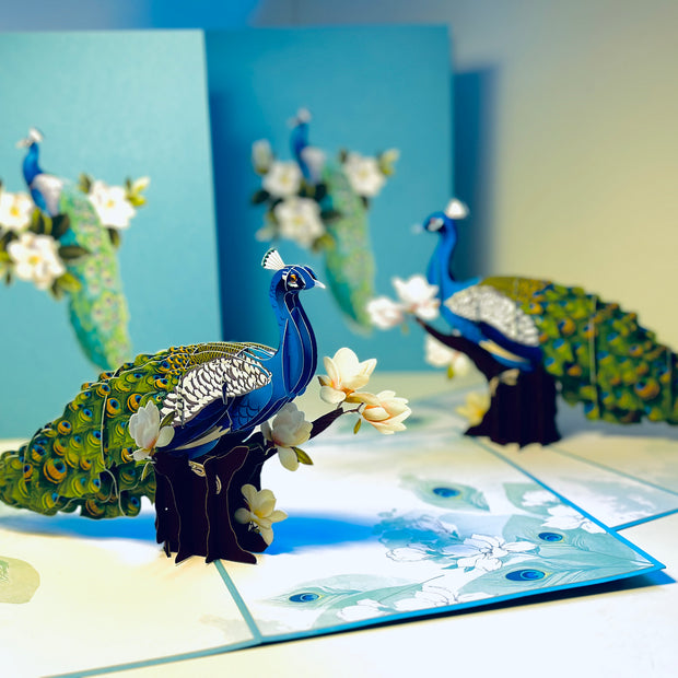 Asian Oriental Blue Green Peacock with White Magnolia Flowers Origami Pop Cards 3D Pop Up Greeting Card Happy Birthday Thank You Handmade Best Wishes Blank Card for Any Occasion Happy Mother's Day Happy Father's Day Celebrate the Beauty Of Nature