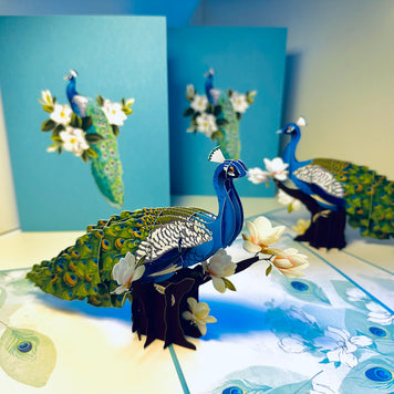 Asian Oriental Blue Green Peacock with White Magnolia Flowers Origami Pop Cards 3D Pop Up Greeting Card Happy Birthday Thank You Handmade Best Wishes Blank Card for Any Occasion Happy Mother's Day Happy Father's Day Celebrate the Beauty Of Nature