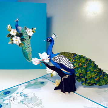 Asian Oriental Blue Green Peacock with White Magnolia Flowers Origami Pop Cards 3D Pop Up Greeting Card Happy Birthday Thank You Handmade Best Wishes Blank Card for Any Occasion Happy Mother's Day Happy Father's Day Celebrate the Beauty Of Nature