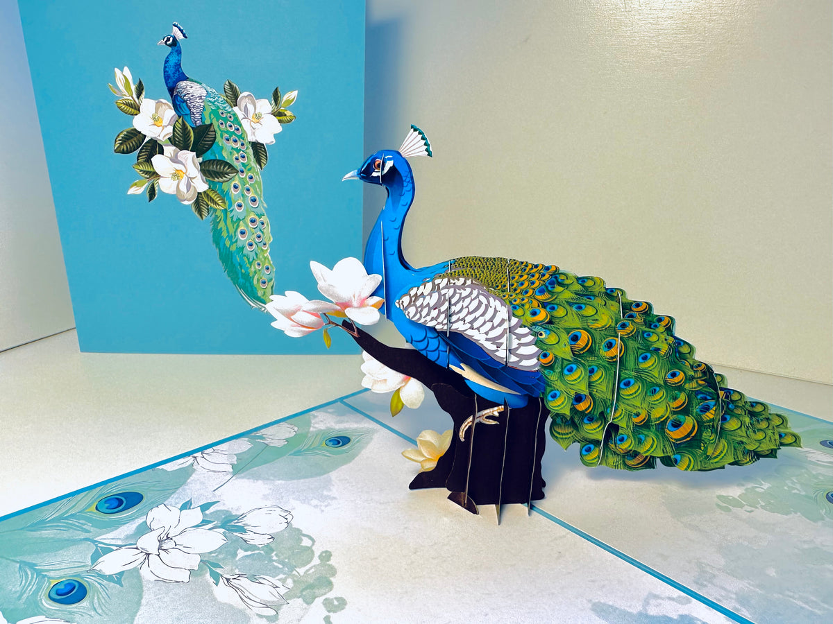 Asian Oriental Blue Green Peacock with White Magnolia Flowers Origami Pop Cards 3D Pop Up Greeting Card Happy Birthday Thank You Handmade Best Wishes Blank Card for Any Occasion Happy Mother's Day Happy Father's Day Celebrate the Beauty Of Nature