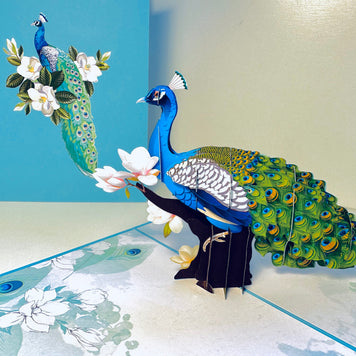 Asian Oriental Blue Green Peacock with White Magnolia Flowers Origami Pop Cards 3D Pop Up Greeting Card Happy Birthday Thank You Handmade Best Wishes Blank Card for Any Occasion Happy Mother's Day Happy Father's Day Celebrate the Beauty Of Nature