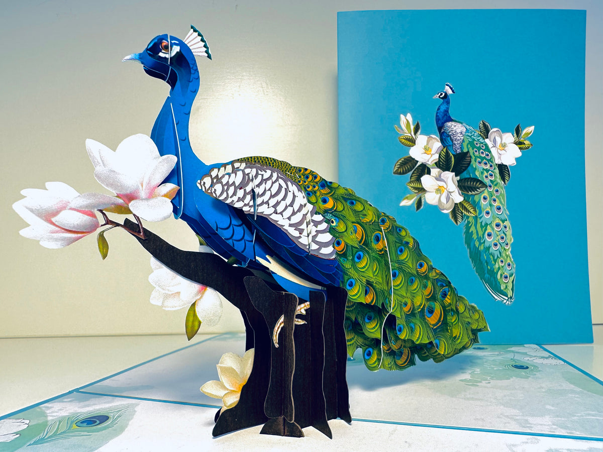 Asian Oriental Blue Green Peacock with White Magnolia Flowers Origami Pop Cards 3D Pop Up Greeting Card Happy Birthday Thank You Handmade Best Wishes Blank Card for Any Occasion Happy Mother's Day Happy Father's Day Celebrate the Beauty Of Nature