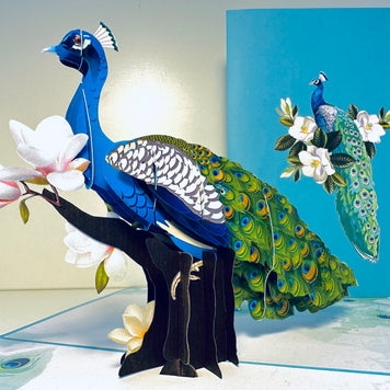 Asian Oriental Blue Green Peacock with White Magnolia Flowers Origami Pop Cards 3D Pop Up Greeting Card Happy Birthday Thank You Handmade Best Wishes Blank Card for Any Occasion Happy Mother's Day Happy Father's Day Celebrate the Beauty Of Nature