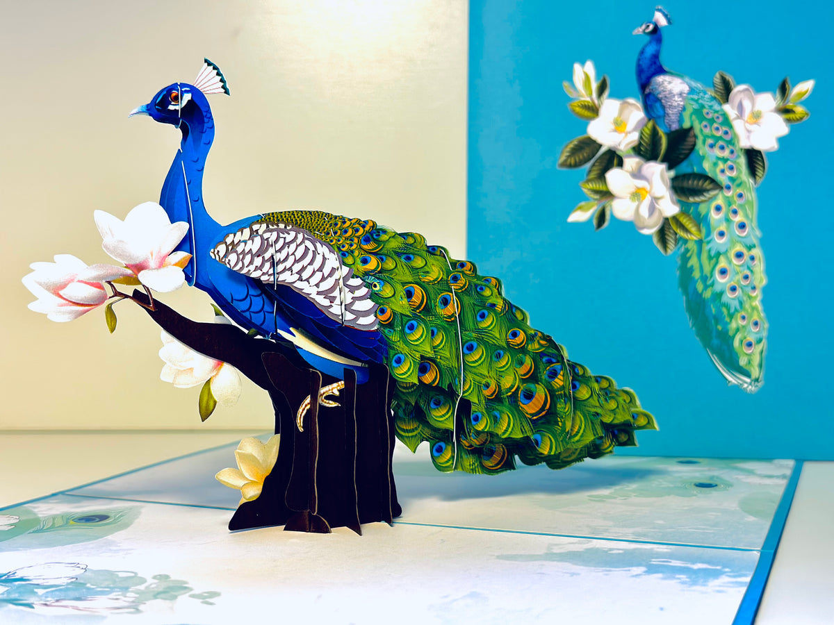 Asian Oriental Blue Green Peacock with White Magnolia Flowers Origami Pop Cards 3D Pop Up Greeting Card Happy Birthday Thank You Handmade Best Wishes Blank Card for Any Occasion Happy Mother's Day Happy Father's Day Celebrate the Beauty Of Nature