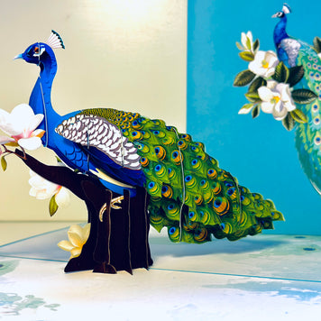 Asian Oriental Blue Green Peacock with White Magnolia Flowers Origami Pop Cards 3D Pop Up Greeting Card Happy Birthday Thank You Handmade Best Wishes Blank Card for Any Occasion Happy Mother's Day Happy Father's Day Celebrate the Beauty Of Nature