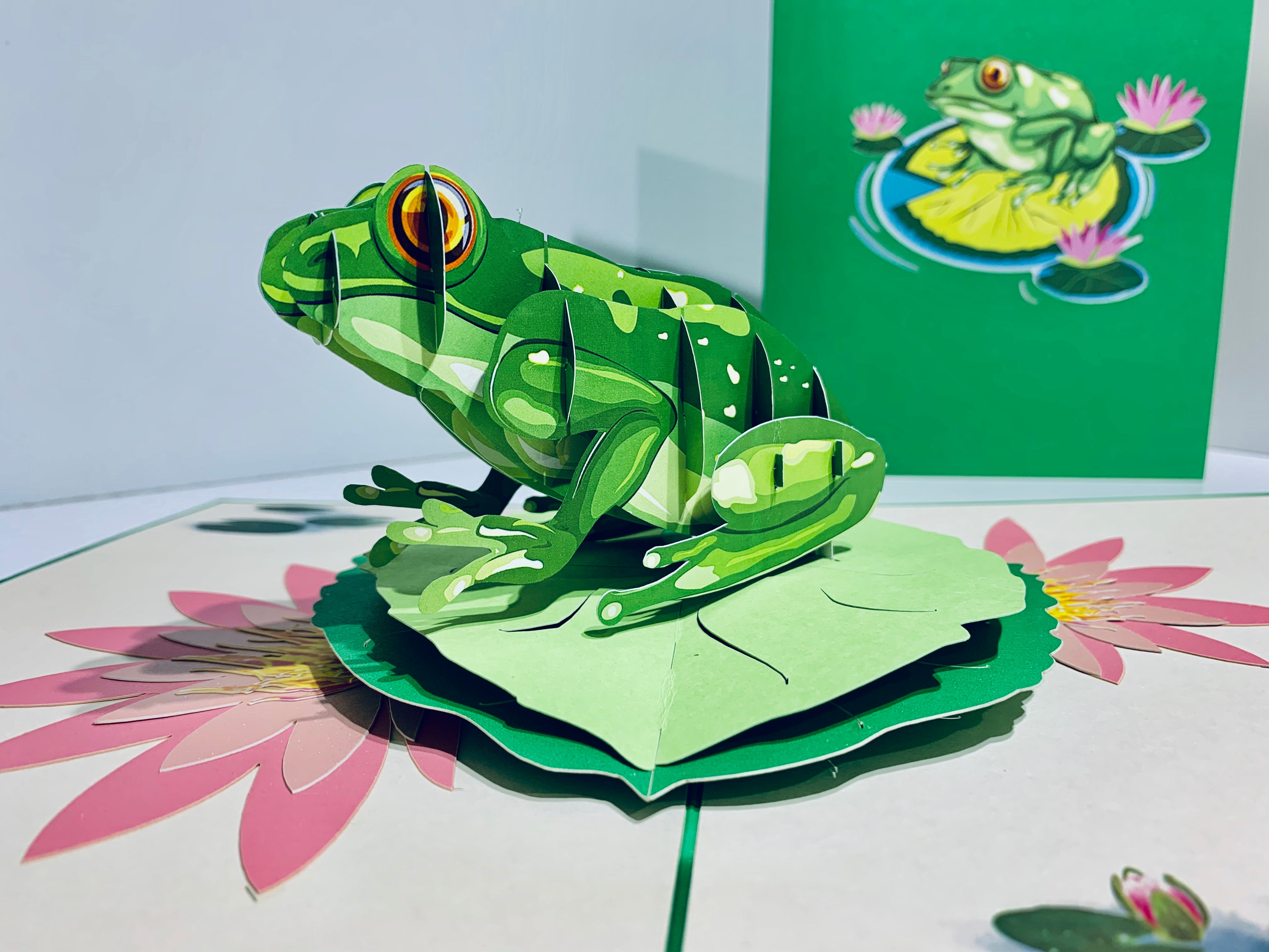 Australian Green Tree Frog landing on Lotus Pad Origami Pop Cards 3D Pop Up Greeting Card Best Wishes Happy Birthday Gift Thank You Handmade Best Wishes Blank Card for Any Occasion Happy Mother's Day Happy Father's Day Celebration