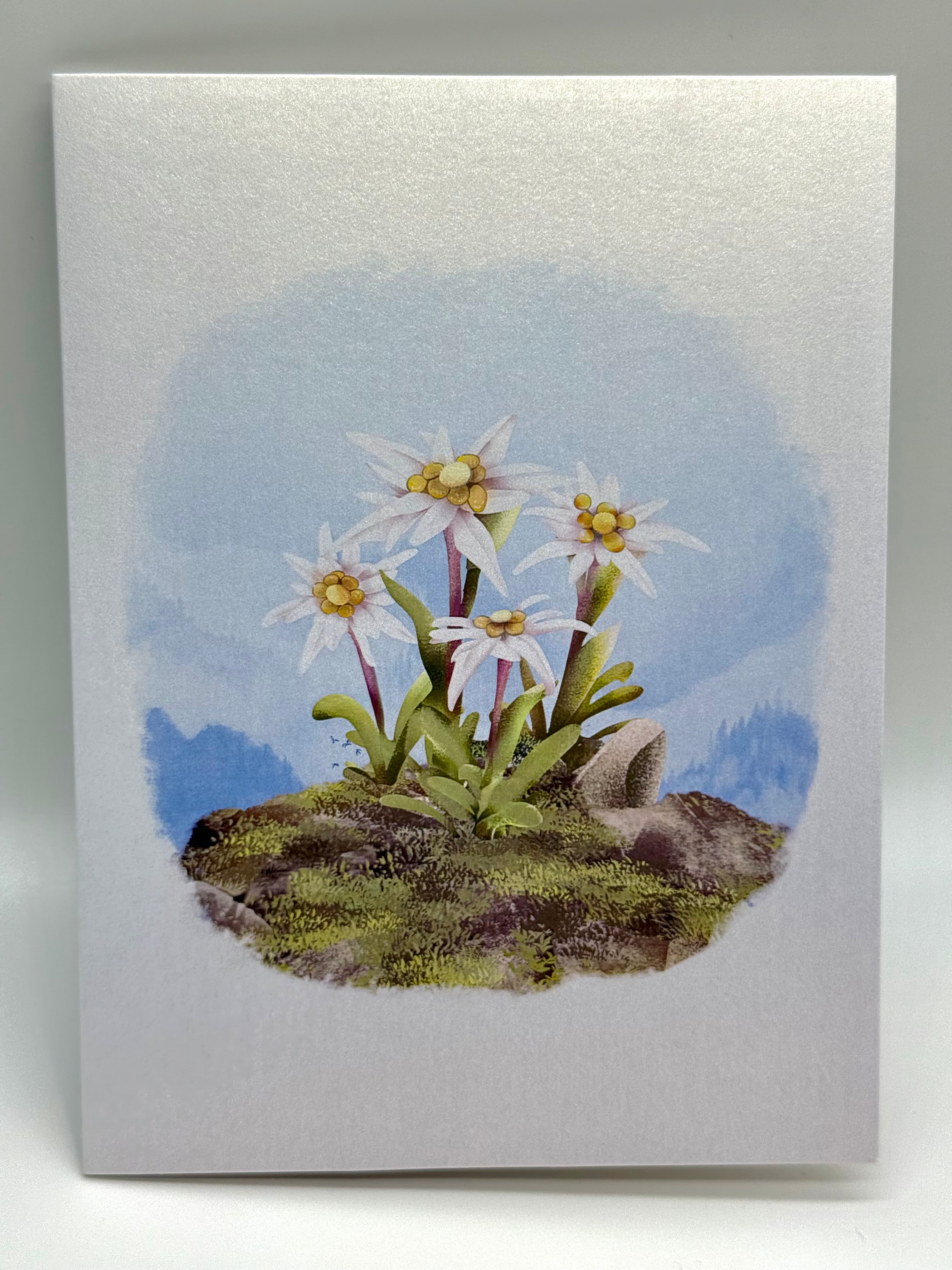 Australian Flannel Native Flower Garden Origami Pop Cards 3D Pop Up Greeting Card Happy Birthday Thank You Handmade Gift Thinking of You Blank Card for Any Occasion Happy Mother's Day Happy Father's Australiana Celebrate the Beauty of Flower