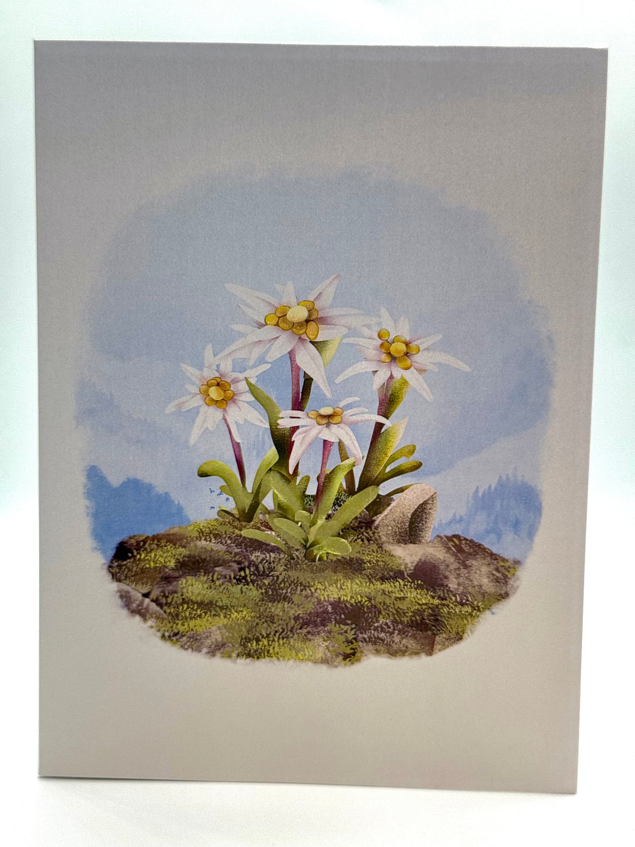 Australian Flannel Native Flower Garden Origami Pop Cards 3D Pop Up Greeting Card Happy Birthday Thank You Handmade Gift Thinking of You Blank Card for Any Occasion Happy Mother's Day Happy Father's Australiana Celebrate the Beauty of Flower