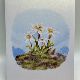 Australian Flannel Native Flower Garden Origami Pop Cards 3D Pop Up Greeting Card Happy Birthday Thank You Handmade Gift Thinking of You Blank Card for Any Occasion Happy Mother's Day Happy Father's Australiana Celebrate the Beauty of Flower