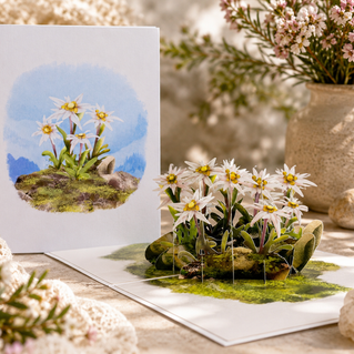 Australian Flannel Native Flower Garden Origami Pop Cards 3D Pop Up Greeting Card Happy Birthday Thank You Handmade Gift Thinking of You Blank Card for Any Occasion Happy Mother's Day Happy Father's Australiana Celebrate the Beauty of Flower