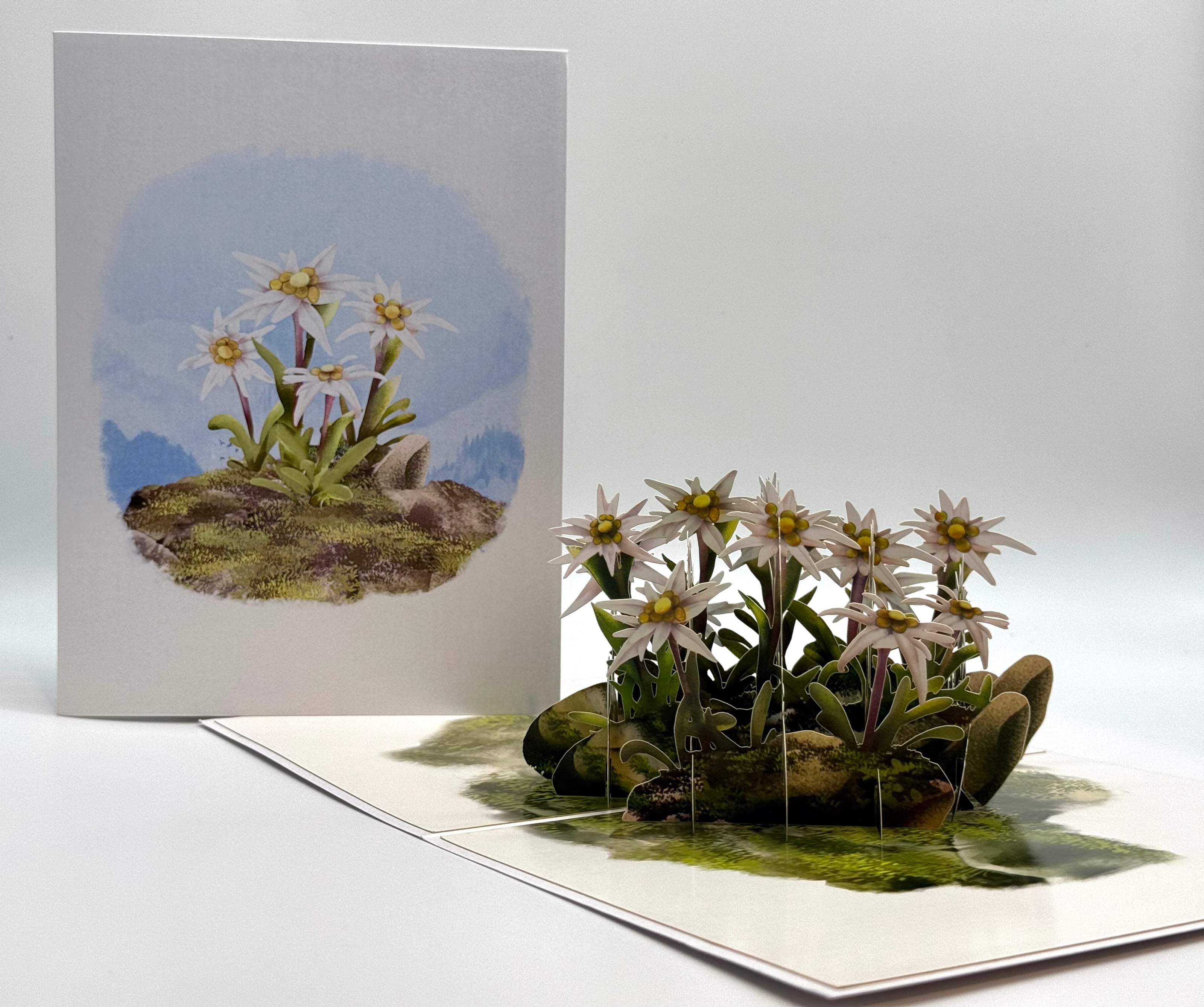 Australian Flannel Native Flower Garden Origami Pop Cards 3D Pop Up Greeting Card Happy Birthday Thank You Handmade Gift Thinking of You Blank Card for Any Occasion Happy Mother's Day Happy Father's Australiana Celebrate the Beauty of Flower