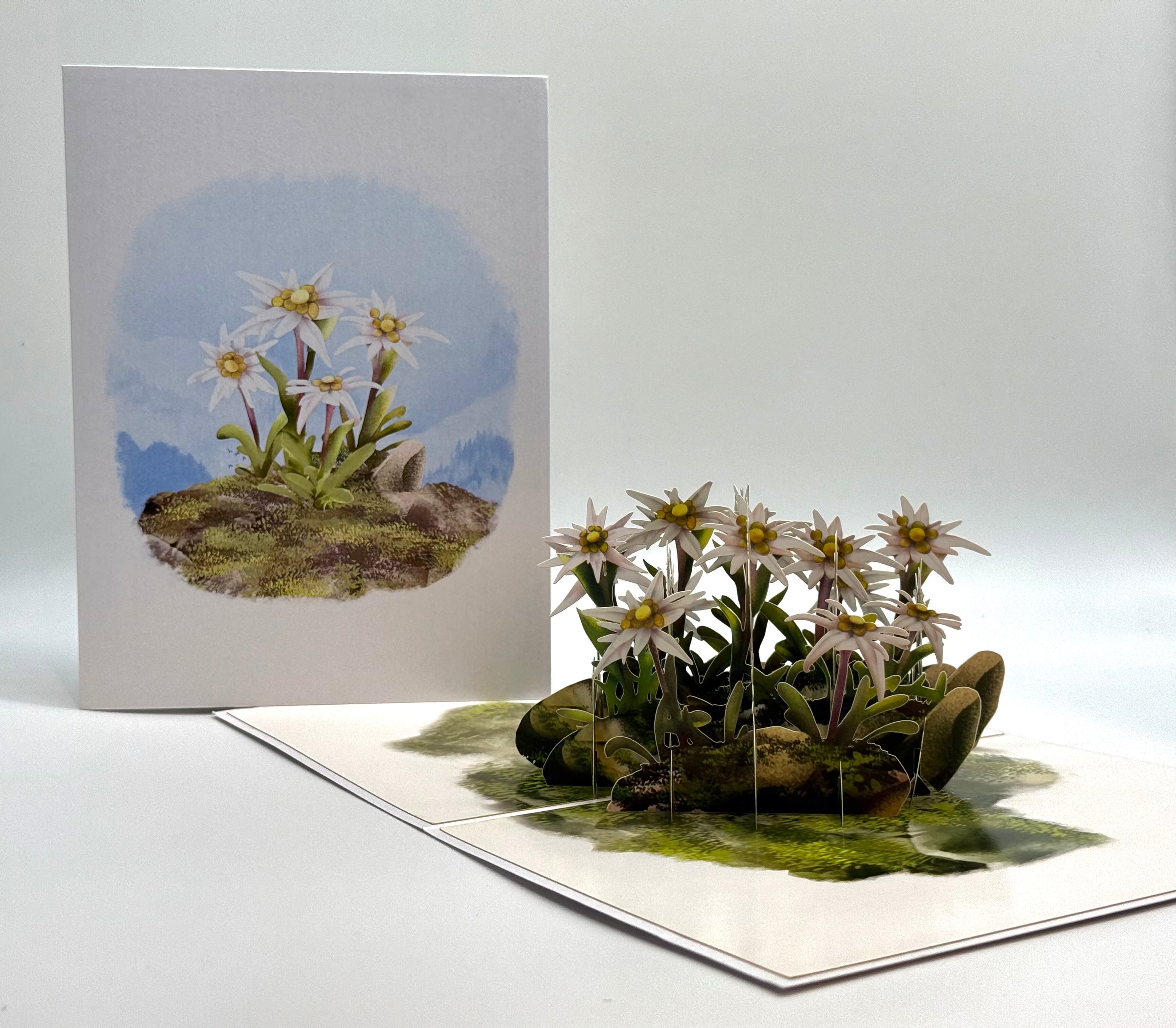 Australian Flannel Native Flower Garden Origami Pop Cards 3D Pop Up Greeting Card Happy Birthday Thank You Handmade Gift Thinking of You Blank Card for Any Occasion Happy Mother's Day Happy Father's Australiana Celebrate the Beauty of Flower