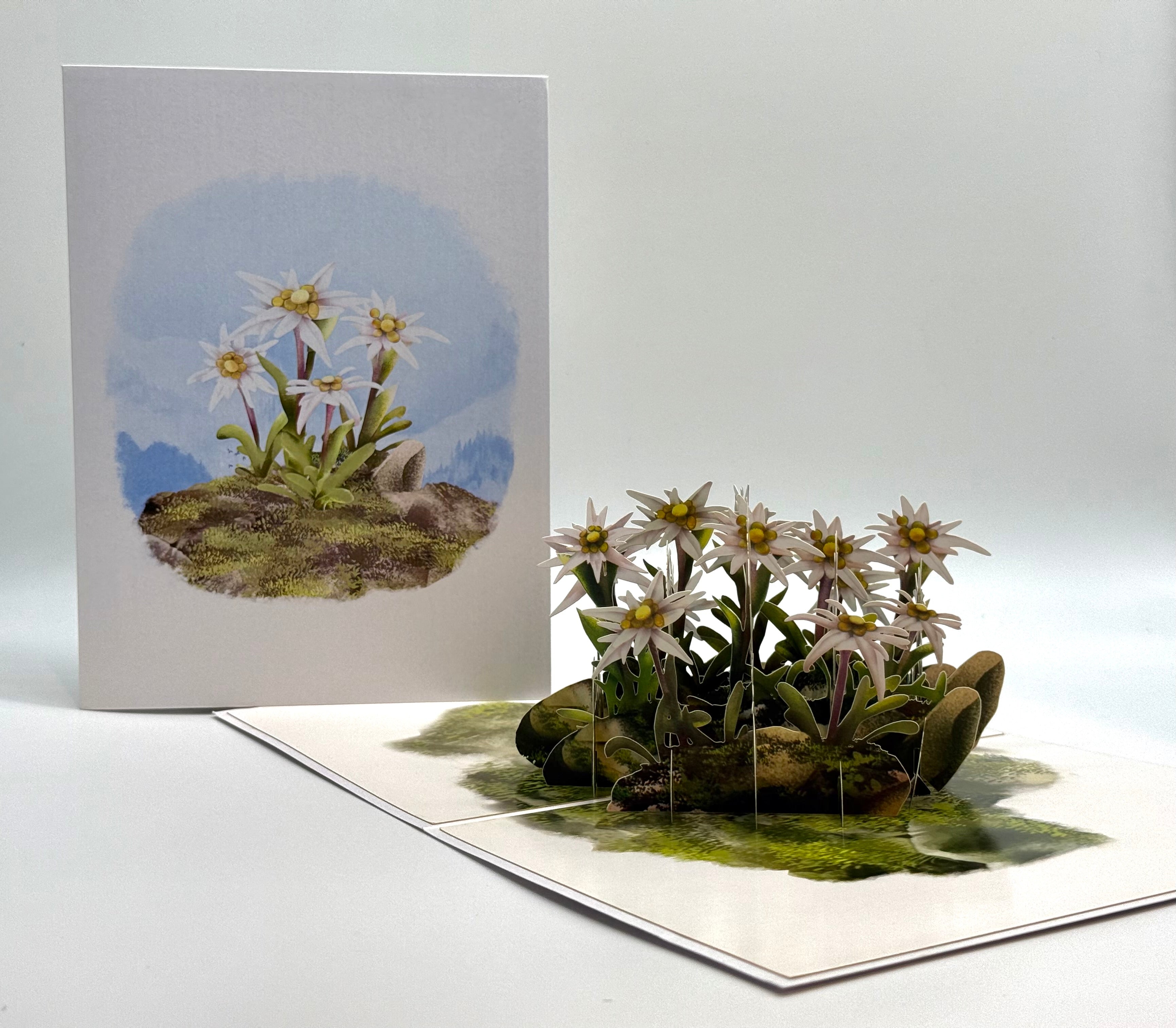Australian Flannel Native Flower Garden Origami Pop Cards 3D Pop Up Greeting Card Happy Birthday Thank You Handmade Gift Thinking of You Blank Card for Any Occasion Happy Mother's Day Happy Father's Australiana Celebrate the Beauty of Flower