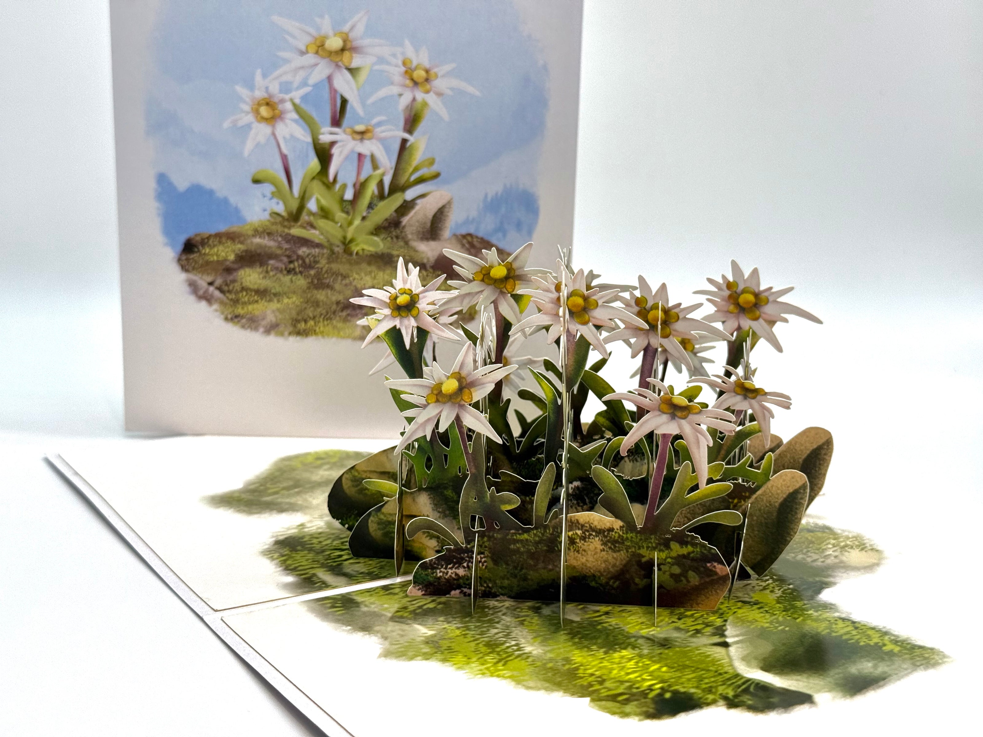 Australian Flannel Native Flower Garden Origami Pop Cards 3D Pop Up Greeting Card Happy Birthday Thank You Handmade Gift Thinking of You Blank Card for Any Occasion Happy Mother's Day Happy Father's Australiana Celebrate the Beauty of Flower