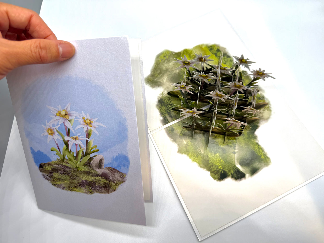 Australian Flannel Native Flower Garden Origami Pop Cards 3D Pop Up Greeting Card Happy Birthday Thank You Handmade Gift Thinking of You Blank Card for Any Occasion Happy Mother's Day Happy Father's Australiana Celebrate the Beauty of Flower