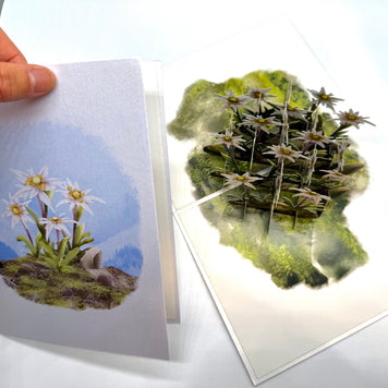Australian Flannel Native Flower Garden Origami Pop Cards 3D Pop Up Greeting Card Happy Birthday Thank You Handmade Gift Thinking of You Blank Card for Any Occasion Happy Mother's Day Happy Father's Australiana Celebrate the Beauty of Flower
