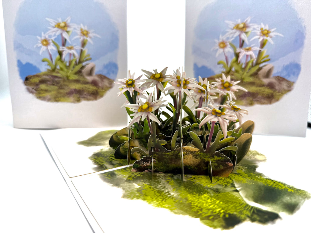 Australian Flannel Native Flower Garden Origami Pop Cards 3D Pop Up Greeting Card Happy Birthday Thank You Handmade Gift Thinking of You Blank Card for Any Occasion Happy Mother's Day Happy Father's Australiana Celebrate the Beauty of Flower