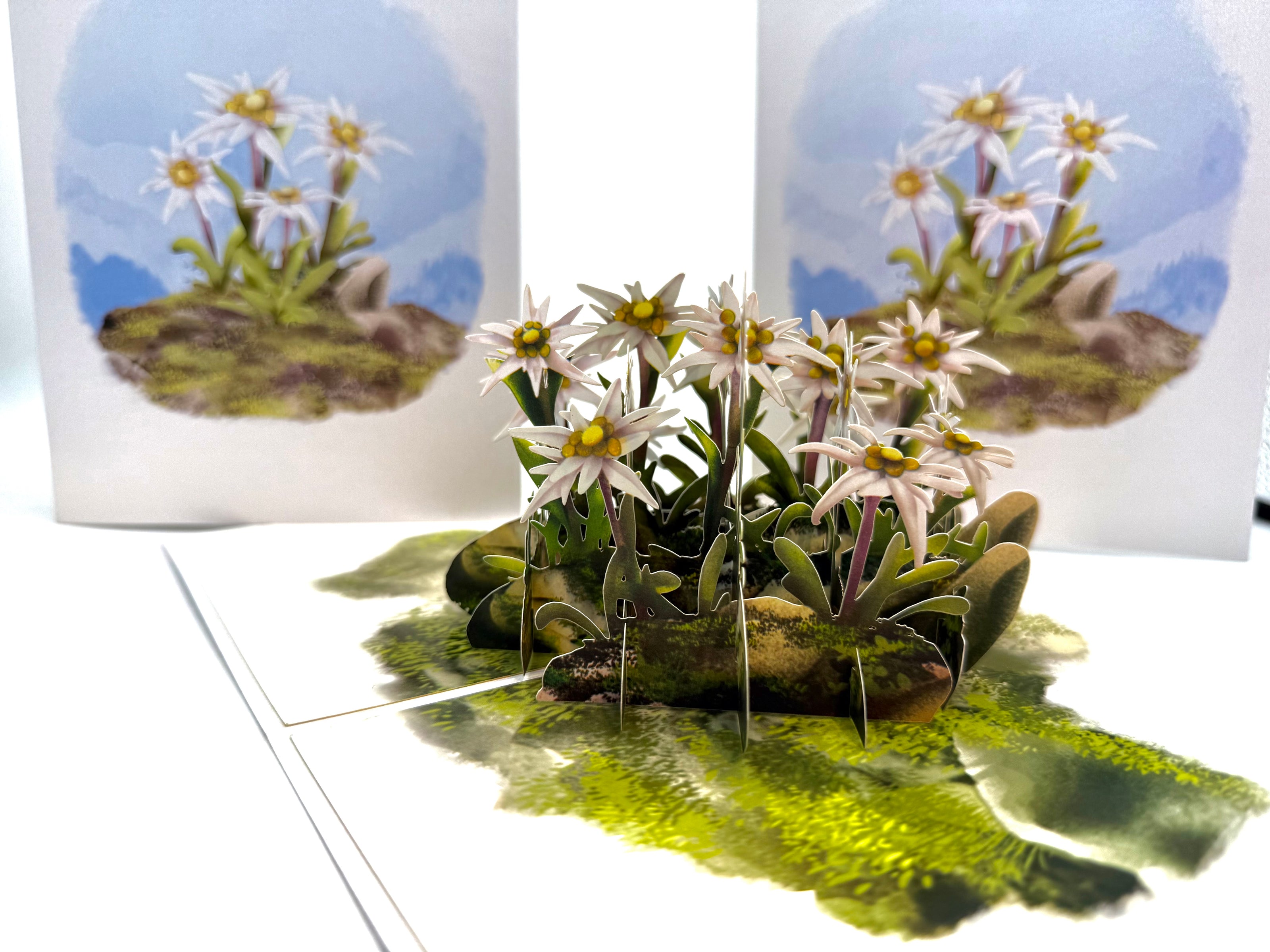 Australian Flannel Native Flower Garden Origami Pop Cards 3D Pop Up Greeting Card Happy Birthday Thank You Handmade Gift Thinking of You Blank Card for Any Occasion Happy Mother's Day Happy Father's Australiana Celebrate the Beauty of Flower
