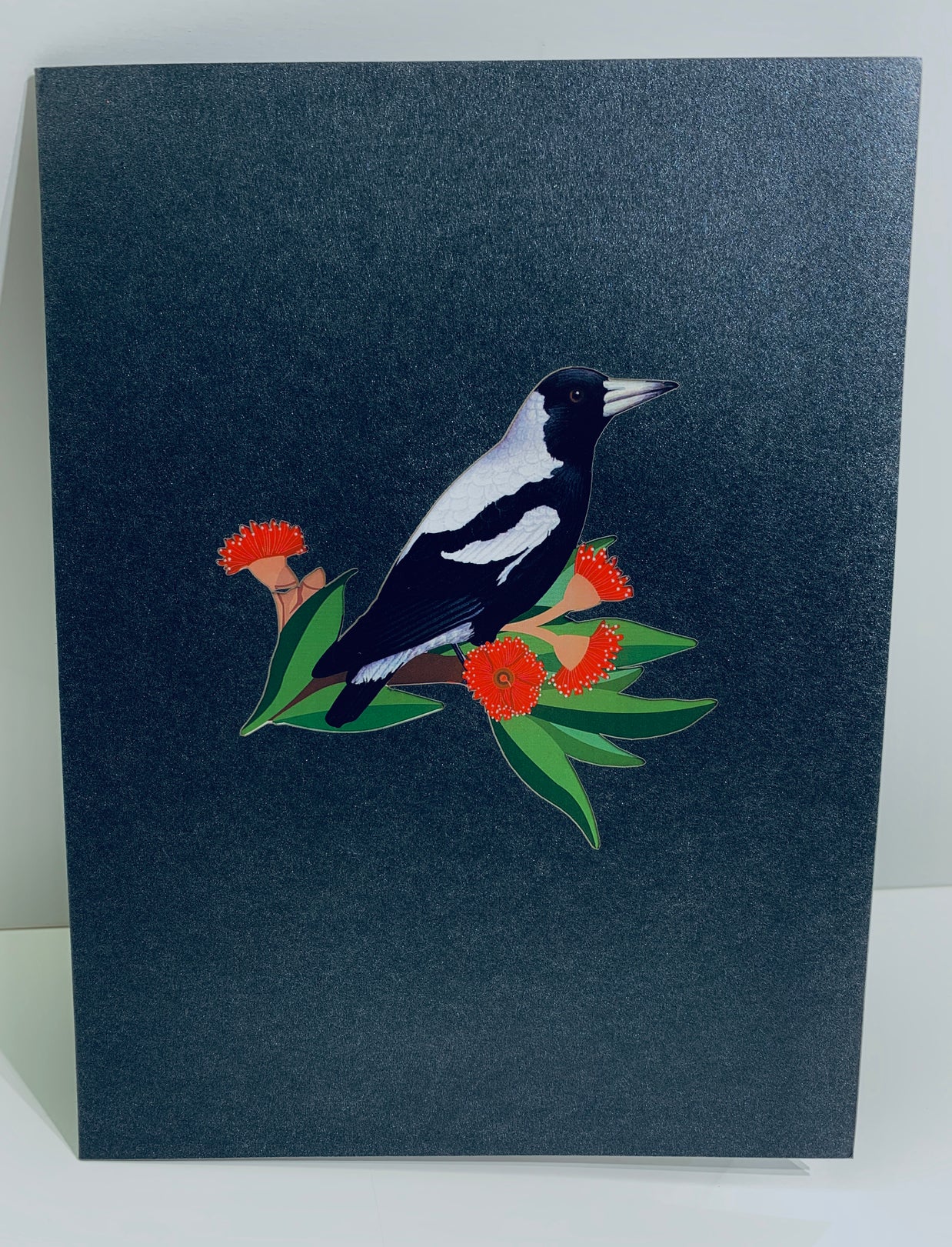 Australian Magpie Black & White Bird with Native Red Gumnut Blossom Wildflower Origami Pop Cards 3D Pop Up Greeting Card Happy Birthday Thank You Handmade Gift Thinking of You Blank Card for Any Occasion Happy Mother's Day Happy Father's Australiana