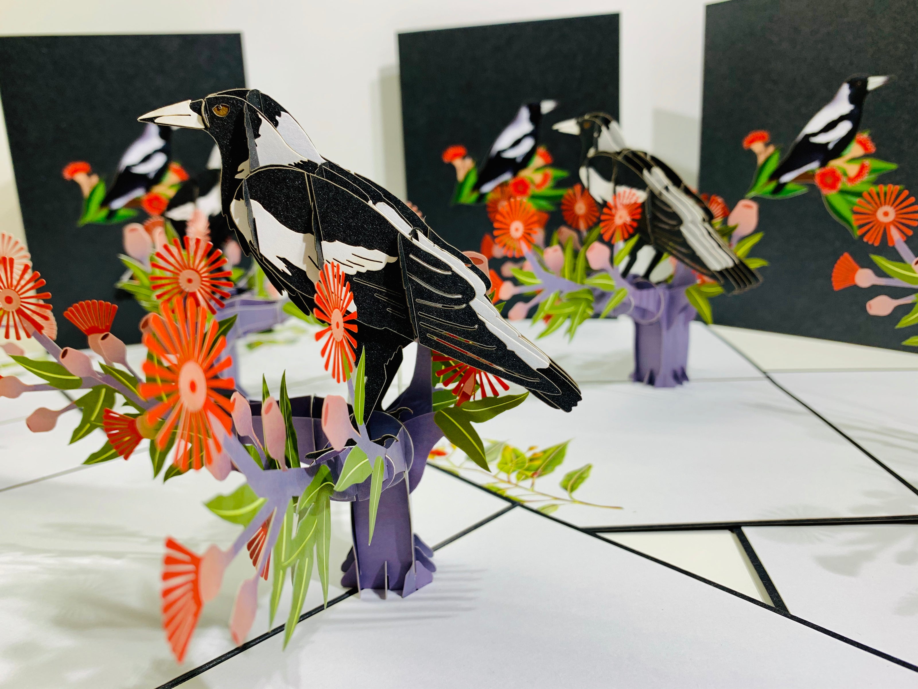 Australian Magpie Black & White Bird with Native Red Gumnut Blossom Wildflower Origami Pop Cards 3D Pop Up Greeting Card Happy Birthday Thank You Handmade Gift Thinking of You Blank Card for Any Occasion Happy Mother's Day Happy Father's Australiana