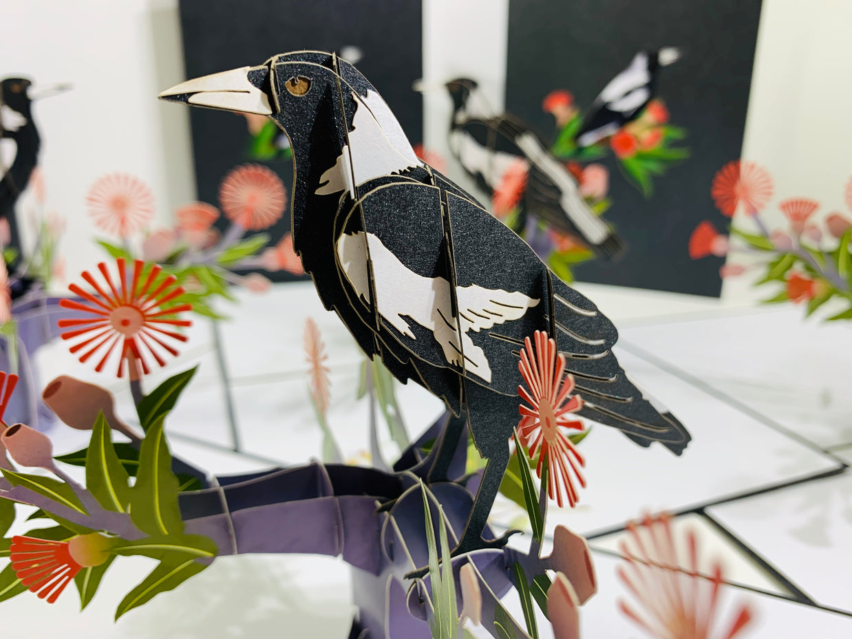 Australian Magpie Black & White Bird with Native Red Gumnut Blossom Wildflower Origami Pop Cards 3D Pop Up Greeting Card Happy Birthday Thank You Handmade Gift Thinking of You Blank Card for Any Occasion Happy Mother's Day Happy Father's Australiana