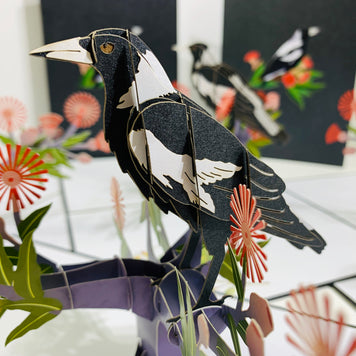 Australian Magpie Black & White Bird with Native Red Gumnut Blossom Wildflower Origami Pop Cards 3D Pop Up Greeting Card Happy Birthday Thank You Handmade Gift Thinking of You Blank Card for Any Occasion Happy Mother's Day Happy Father's Australiana