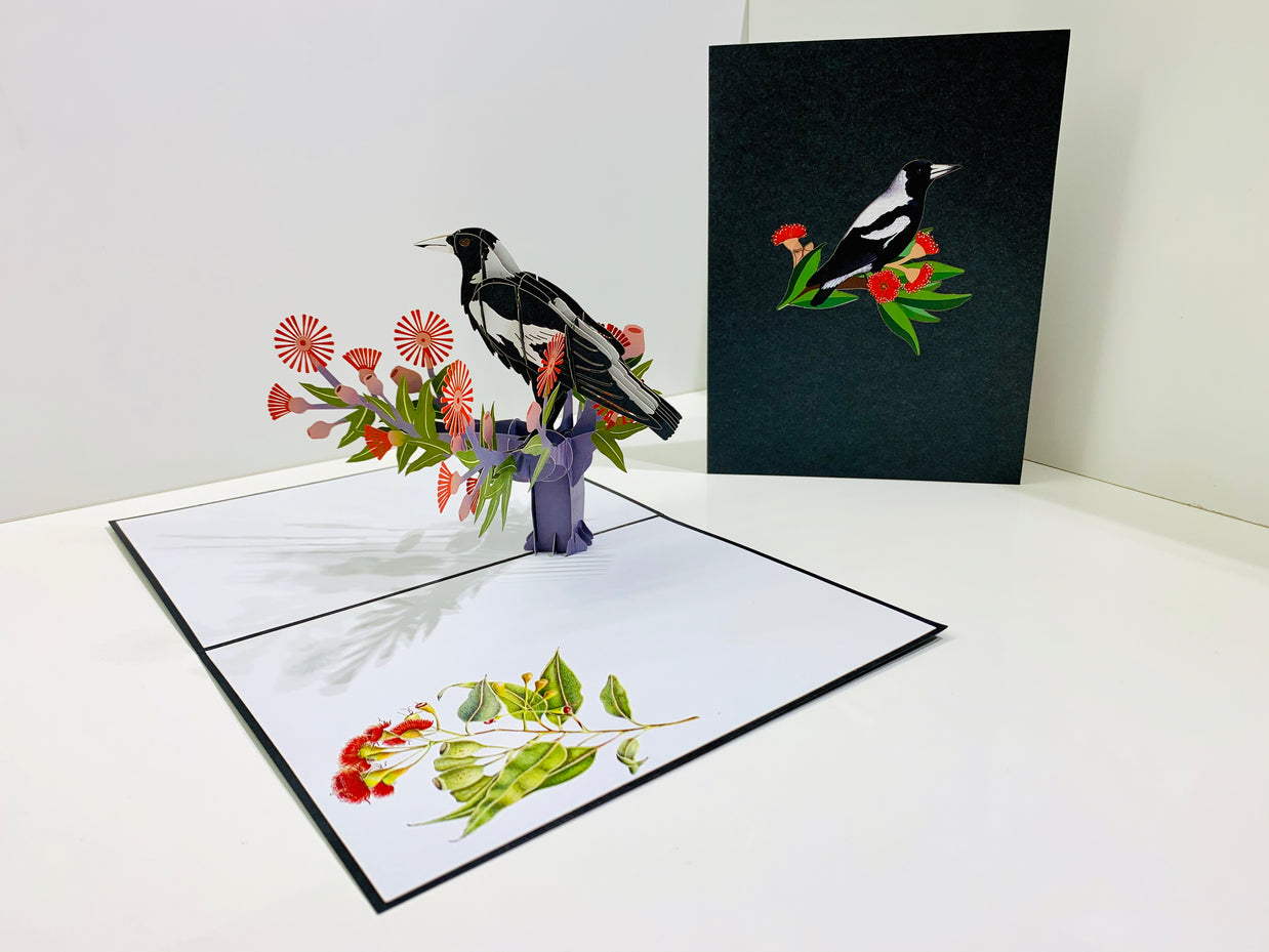 Australian Magpie Black & White Bird with Native Red Gumnut Blossom Wildflower Origami Pop Cards 3D Pop Up Greeting Card Happy Birthday Thank You Handmade Gift Thinking of You Blank Card for Any Occasion Happy Mother's Day Happy Father's Australiana