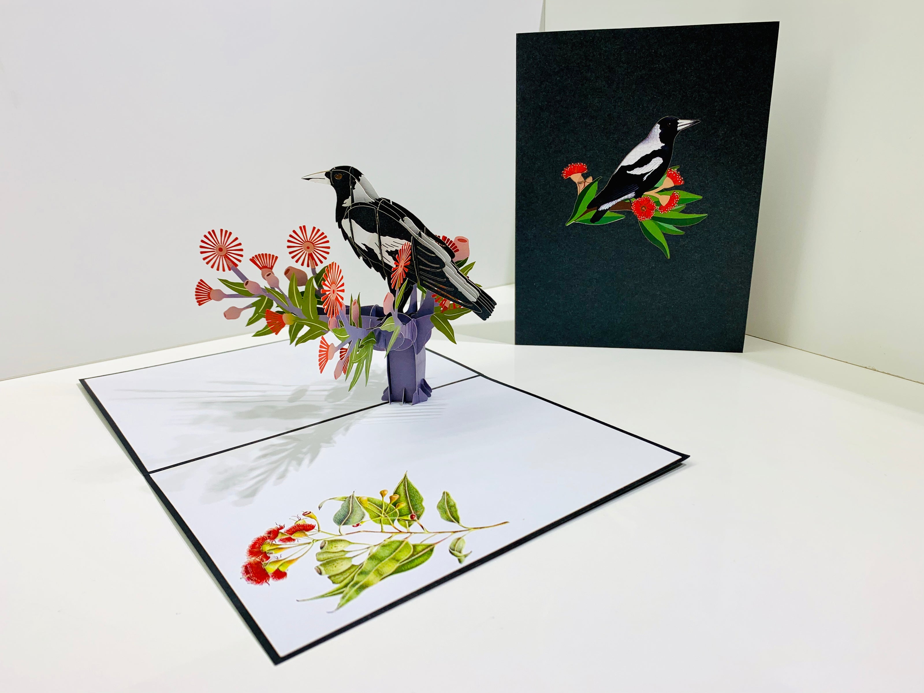 Australian Magpie Black & White Bird with Native Red Gumnut Blossom Wildflower Origami Pop Cards 3D Pop Up Greeting Card Happy Birthday Thank You Handmade Gift Thinking of You Blank Card for Any Occasion Happy Mother's Day Happy Father's Australiana