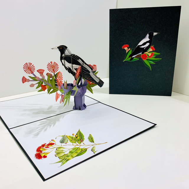 Australian Magpie Black & White Bird with Native Red Gumnut Blossom Wildflower Origami Pop Cards 3D Pop Up Greeting Card Happy Birthday Thank You Handmade Gift Thinking of You Blank Card for Any Occasion Happy Mother's Day Happy Father's Australiana