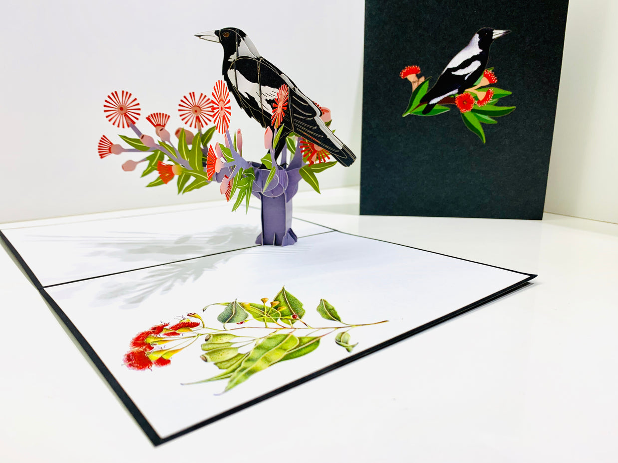 Australian Magpie Black & White Bird with Native Red Gumnut Blossom Wildflower Origami Pop Cards 3D Pop Up Greeting Card Happy Birthday Thank You Handmade Gift Thinking of You Blank Card for Any Occasion Happy Mother's Day Happy Father's Australiana