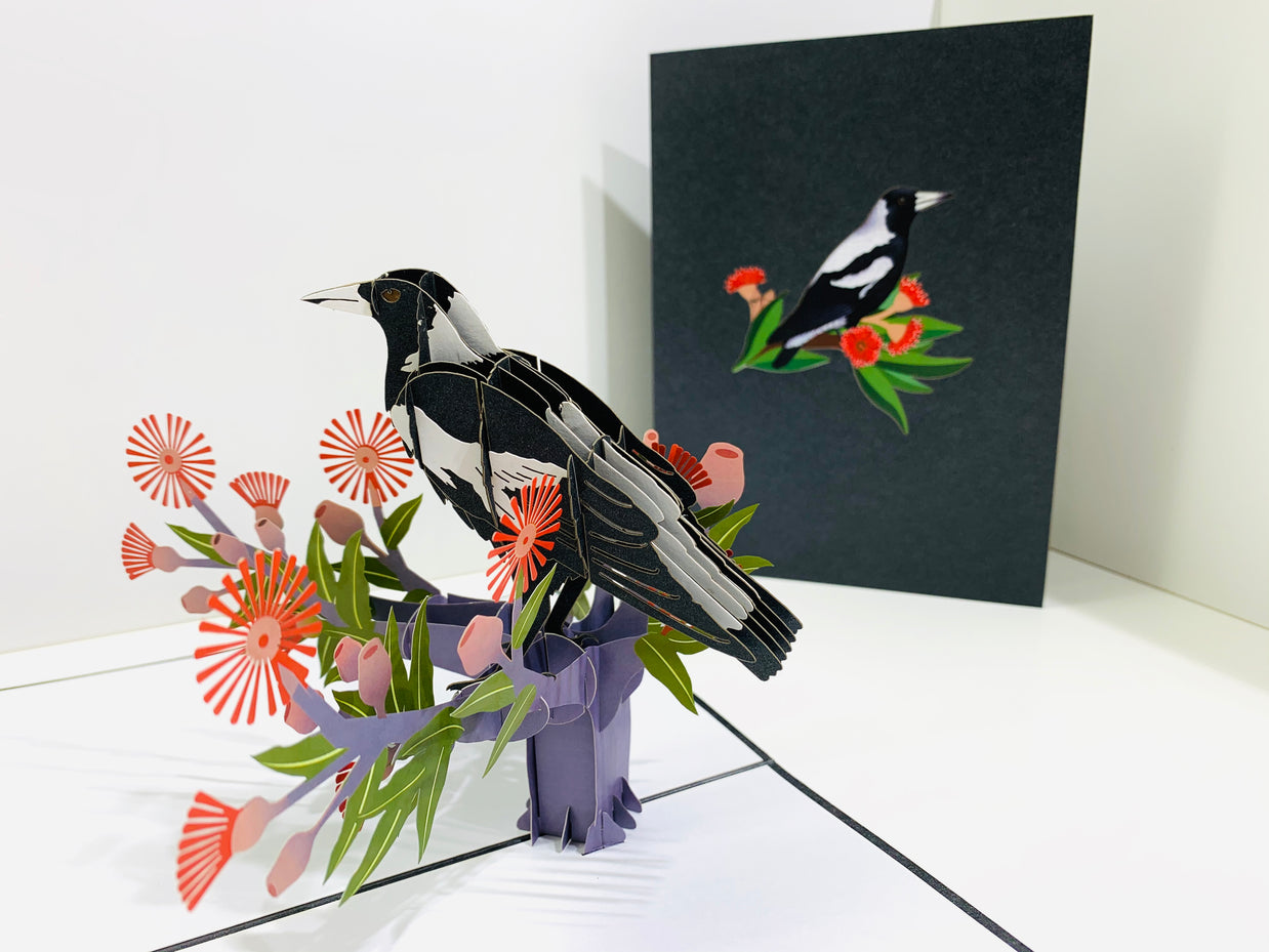 Australian Magpie Black & White Bird with Native Red Gumnut Blossom Wildflower Origami Pop Cards 3D Pop Up Greeting Card Happy Birthday Thank You Handmade Gift Thinking of You Blank Card for Any Occasion Happy Mother's Day Happy Father's Australiana