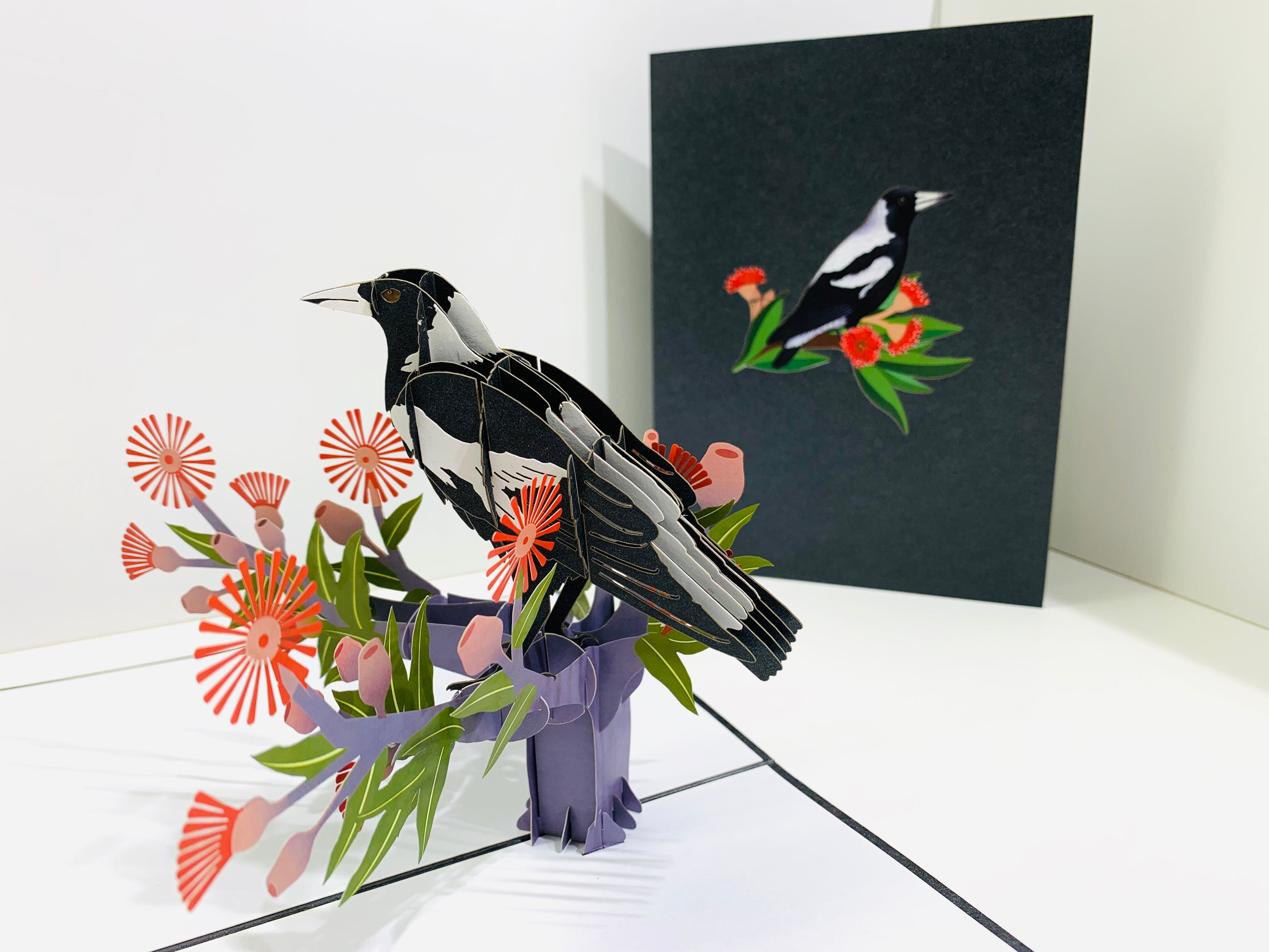 Australian Magpie Black & White Bird with Native Red Gumnut Blossom Wildflower Origami Pop Cards 3D Pop Up Greeting Card Happy Birthday Thank You Handmade Gift Thinking of You Blank Card for Any Occasion Happy Mother's Day Happy Father's Australiana