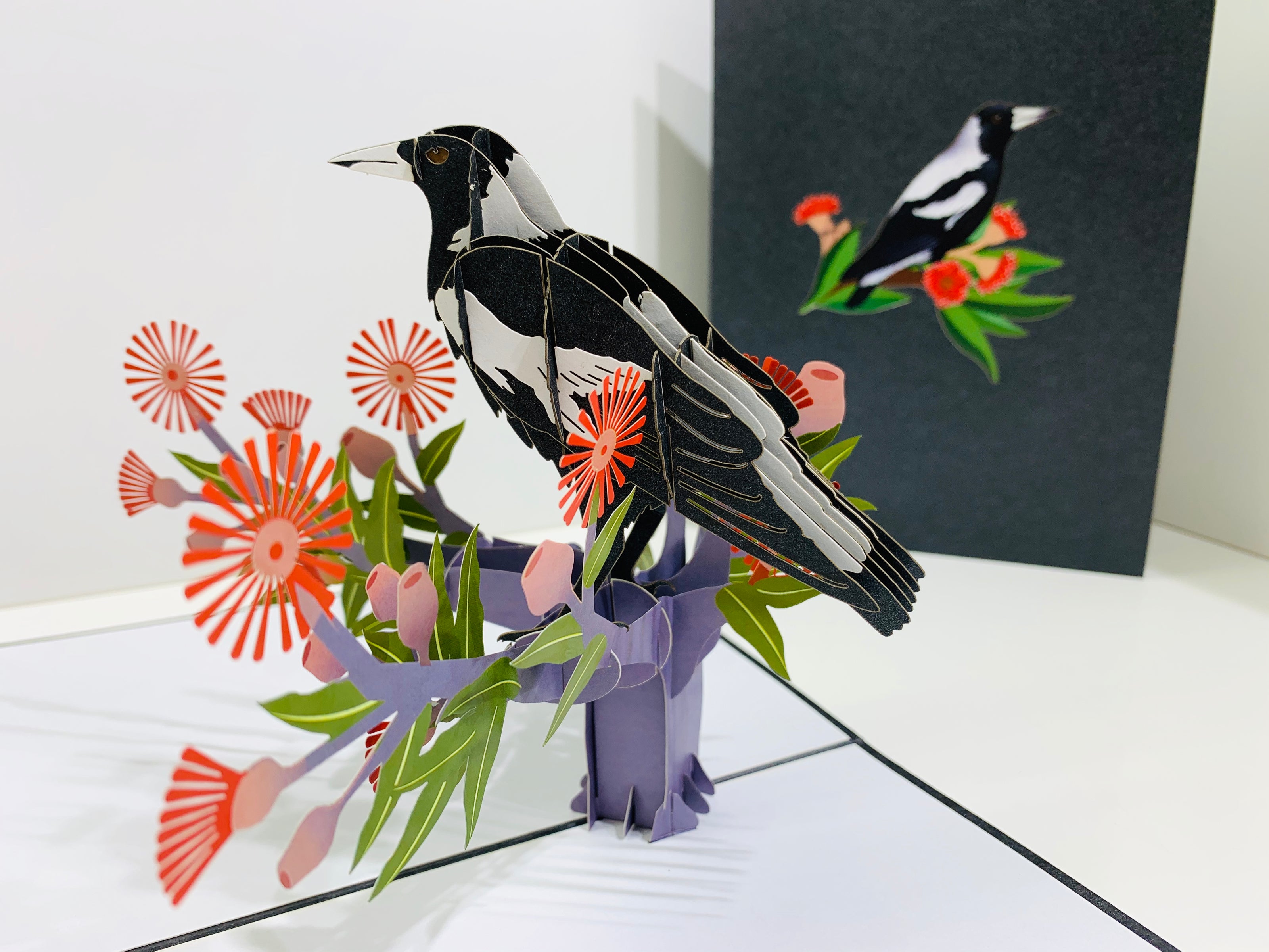 Australian Magpie Black & White Bird with Native Red Gumnut Blossom Wildflower Origami Pop Cards 3D Pop Up Greeting Card Happy Birthday Thank You Handmade Gift Thinking of You Blank Card for Any Occasion Happy Mother's Day Happy Father's Australiana