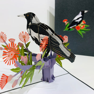 Australian Magpie Black & White Bird with Native Red Gumnut Blossom Wildflower Origami Pop Cards 3D Pop Up Greeting Card Happy Birthday Thank You Handmade Gift Thinking of You Blank Card for Any Occasion Happy Mother's Day Happy Father's Australiana