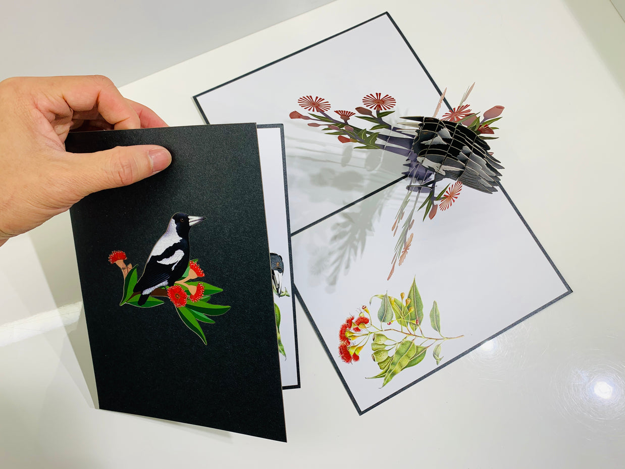 Australian Magpie Black & White Bird with Native Red Gumnut Blossom Wildflower Origami Pop Cards 3D Pop Up Greeting Card Happy Birthday Thank You Handmade Gift Thinking of You Blank Card for Any Occasion Happy Mother's Day Happy Father's Australiana