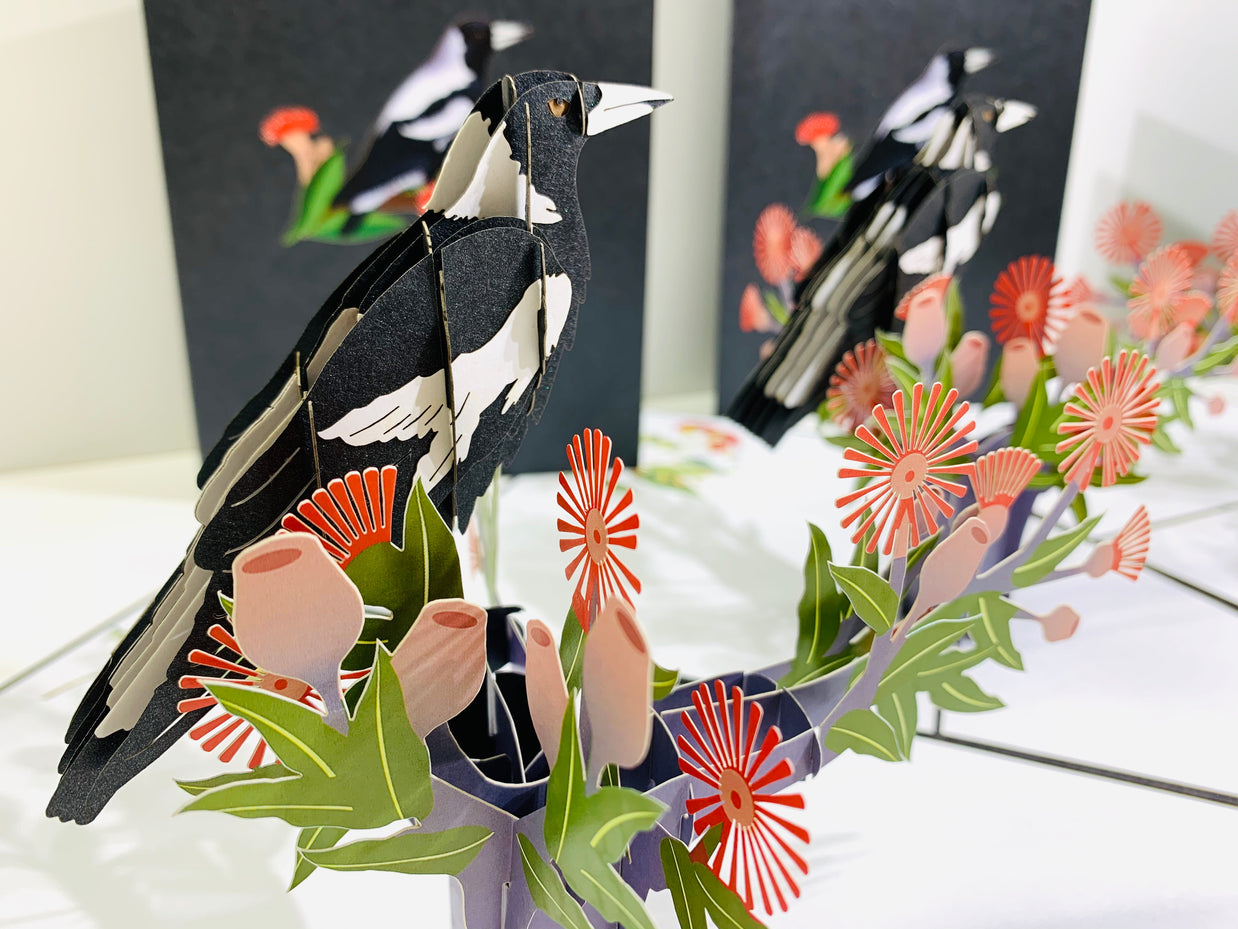 Australian Magpie Black & White Bird with Native Red Gumnut Blossom Wildflower Origami Pop Cards 3D Pop Up Greeting Card Happy Birthday Thank You Handmade Gift Thinking of You Blank Card for Any Occasion Happy Mother's Day Happy Father's Australiana