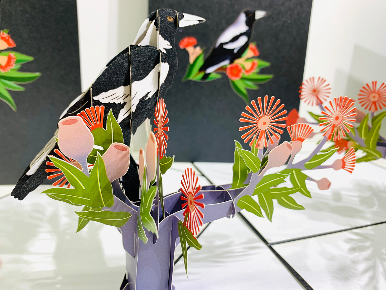 Australian Magpie Black & White Bird with Native Red Gumnut Blossom Wildflower Origami Pop Cards 3D Pop Up Greeting Card Happy Birthday Thank You Handmade Gift Thinking of You Blank Card for Any Occasion Happy Mother's Day Happy Father's Australiana