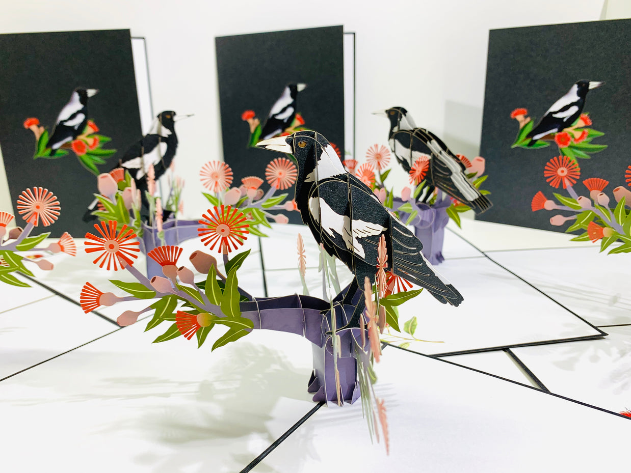 Australian Magpie Black & White Bird with Native Red Gumnut Blossom Wildflower Origami Pop Cards 3D Pop Up Greeting Card Happy Birthday Thank You Handmade Gift Thinking of You Blank Card for Any Occasion Happy Mother's Day Happy Father's Australiana