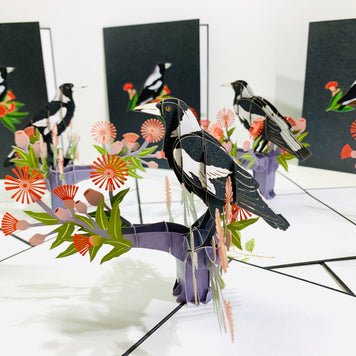 Australian Magpie Black & White Bird with Native Red Gumnut Blossom Wildflower Origami Pop Cards 3D Pop Up Greeting Card Happy Birthday Thank You Handmade Gift Thinking of You Blank Card for Any Occasion Happy Mother's Day Happy Father's Australiana