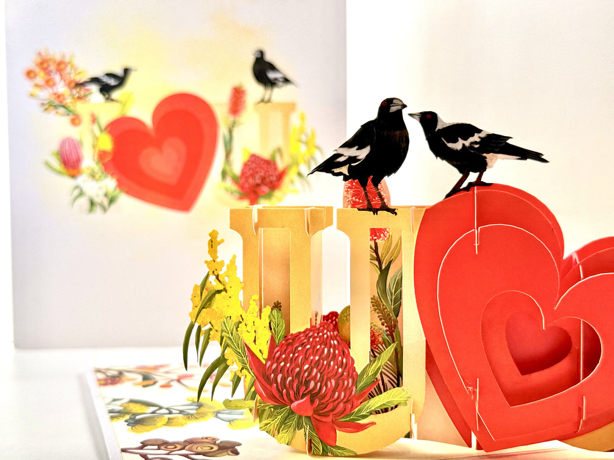 Australian Magpie LOVE Birds with Australian Native Flowers 3D POP UP GREETING CARD - Created by Origami Pop Cards Australian Design & Handmade 3D Pop Up Magical Paper Cards, Handmade Pop Up Cards Happy Valentine's Day Celebrate Heart Fell and Romantic