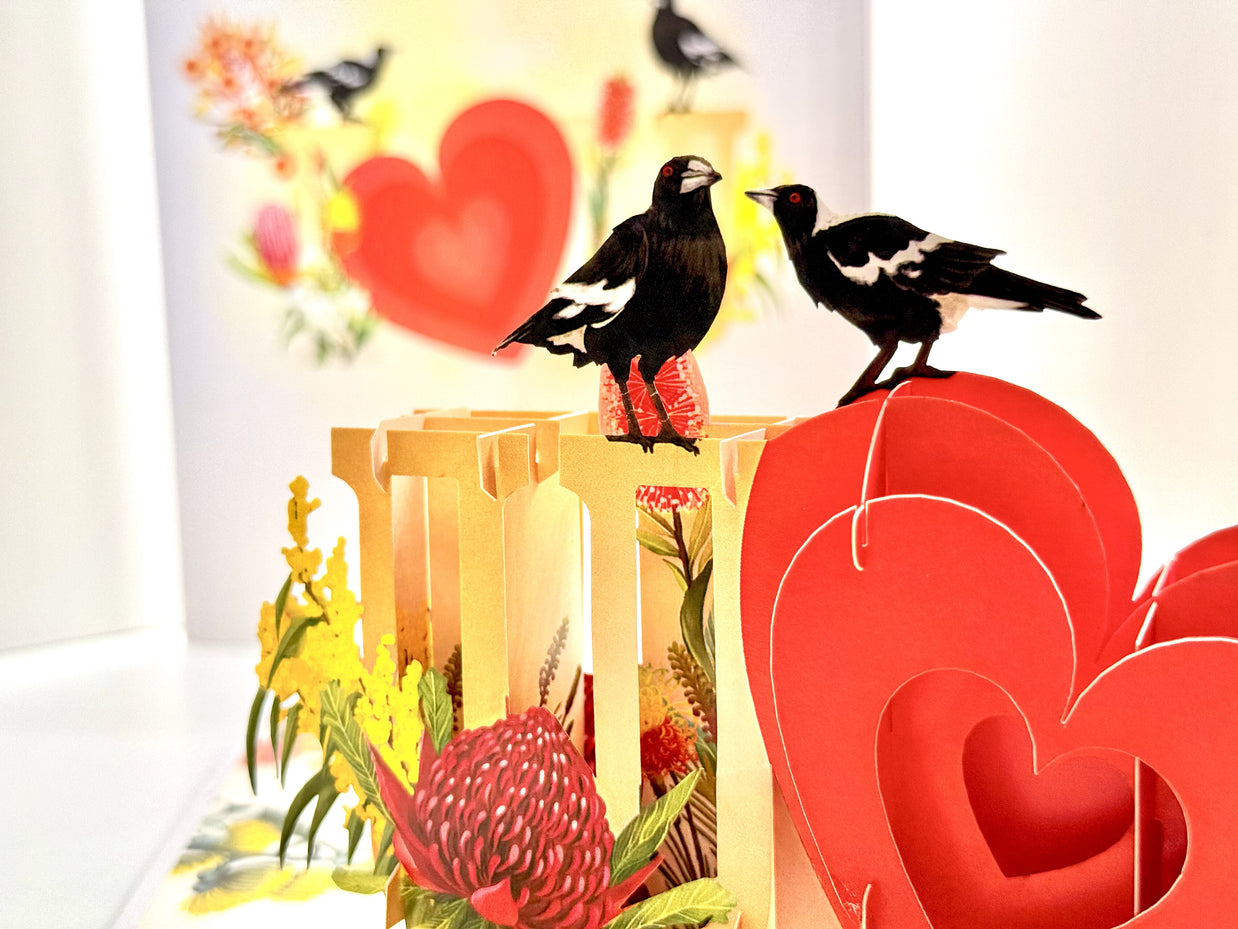 Australian Magpie LOVE Birds with Australian Native Flowers 3D POP UP GREETING CARD - Created by Origami Pop Cards Australian Design & Handmade 3D Pop Up Magical Paper Cards, Handmade Pop Up Cards Happy Valentine's Day Celebrate Heart Fell and Romantic